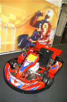 Картинговая выставка 2007
